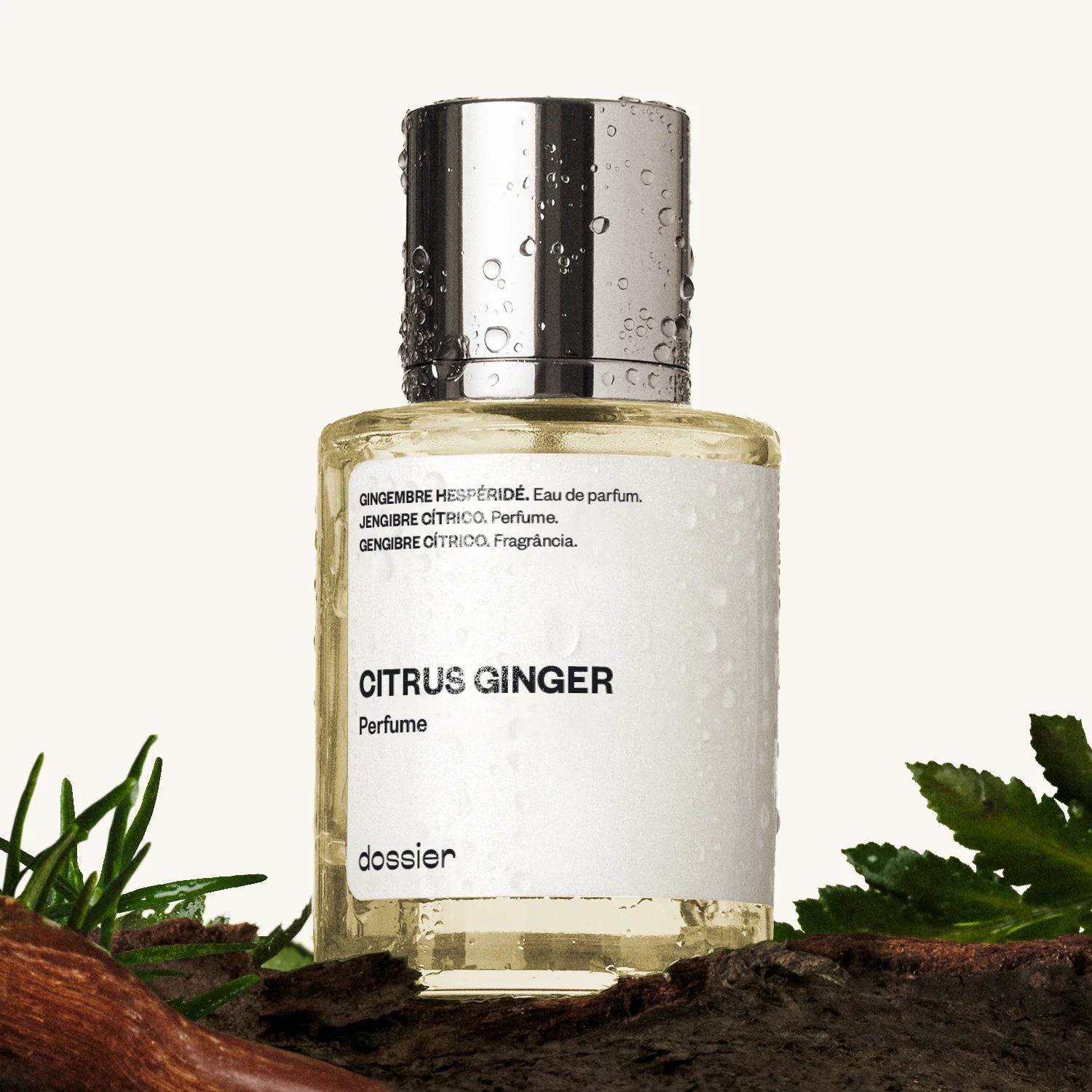 Citrus Ginger - Image 2